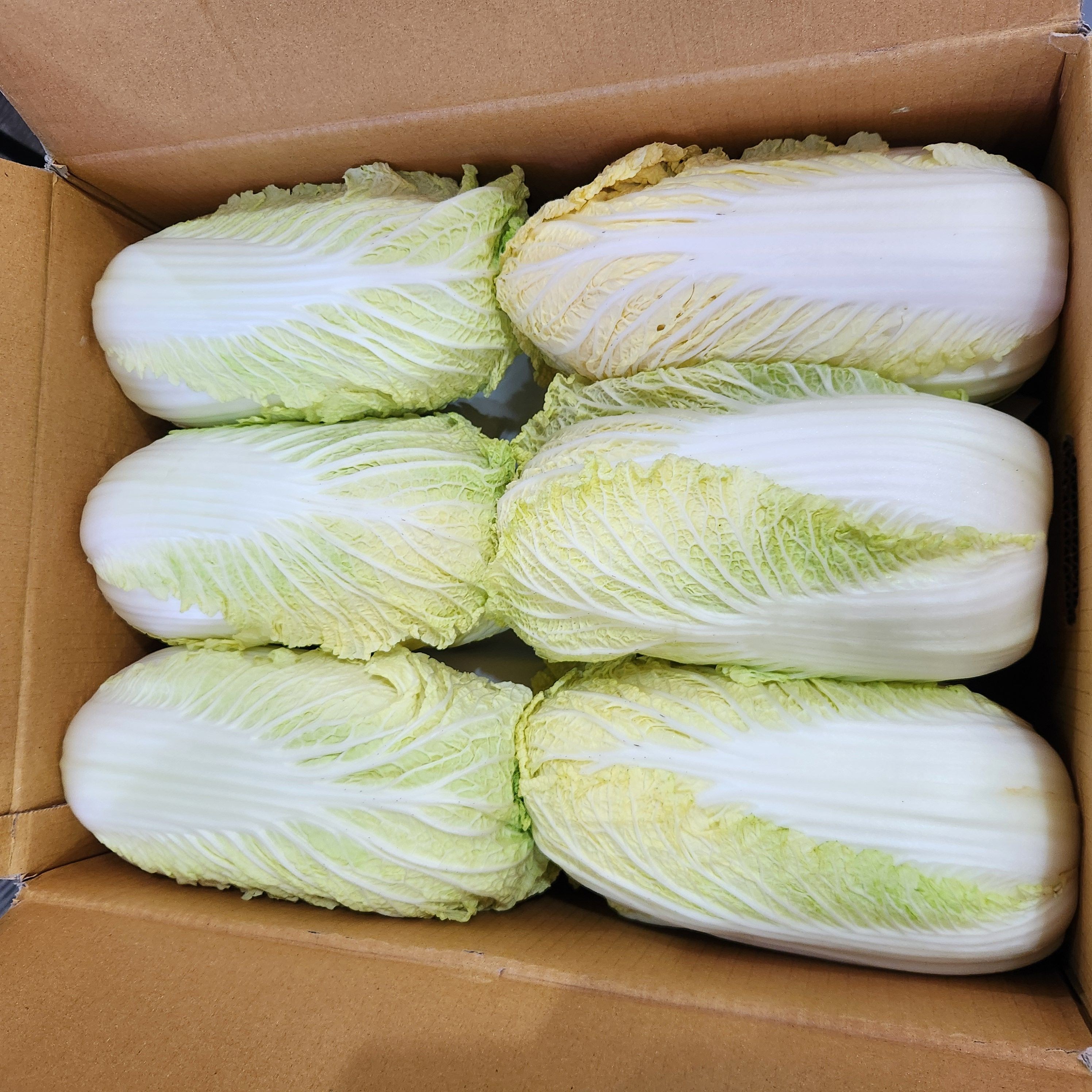 [국내산]알꽉찬 알배기배추 통배추 2통, 6통, 12통 28,950원