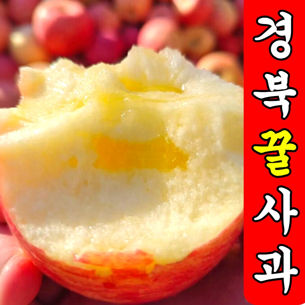 [시장최저가] 경북직송 착한가성비 부사 꿀사과 8,300원
