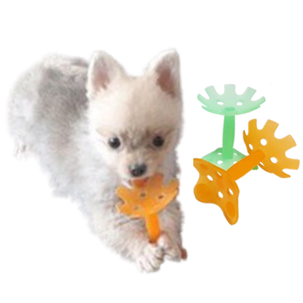 애완견 치발장난감1+1 (총2개)/ 유치보호장난감 / 100%국내생산, 1세트, (그린+오렌지) 15,900원