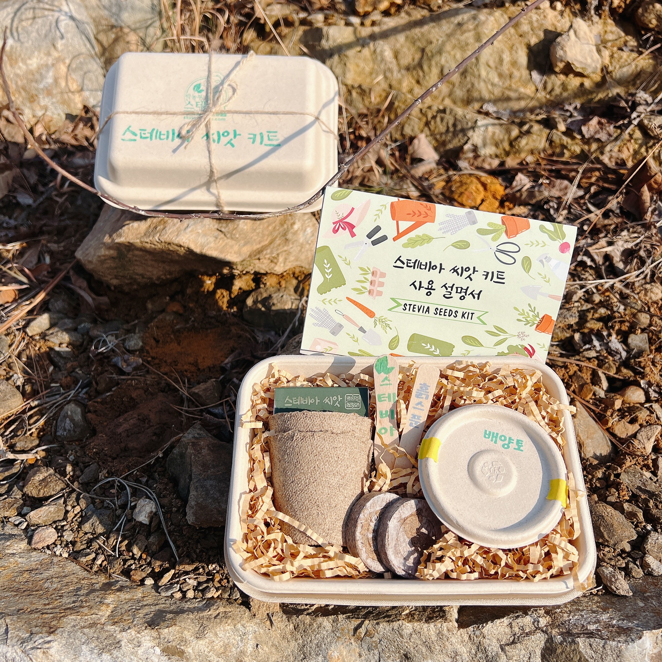 [스테비아 씨앗키트] 달달한 맛 제로칼로리 허브 키우기, 재배키트, 실내에서 키우는 나만의 스테비아, 1개 12,000원