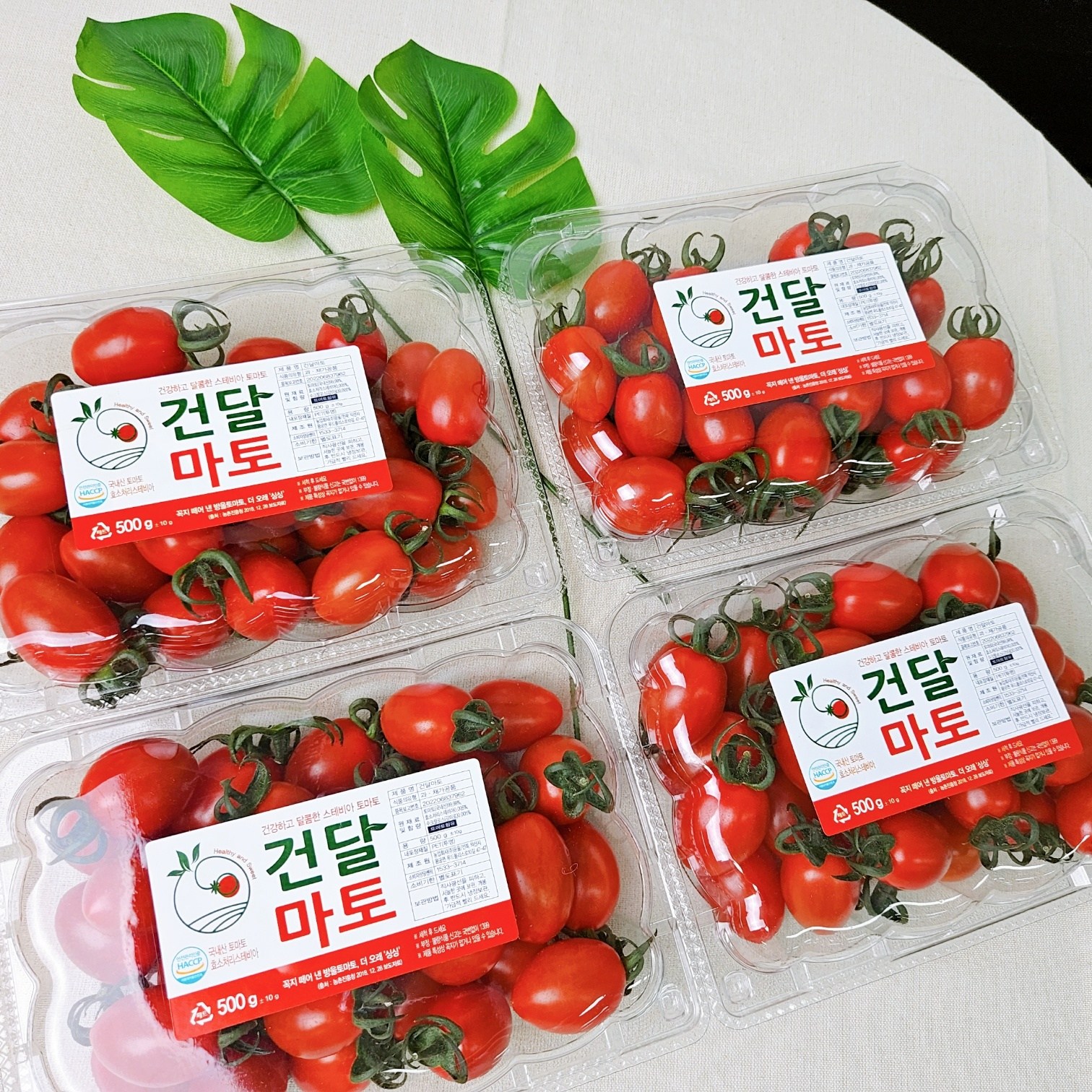 [설탕 무첨가] 스테비아 건달마토 천연 단맛 고당도 다이어트 간식 500g 11,500원