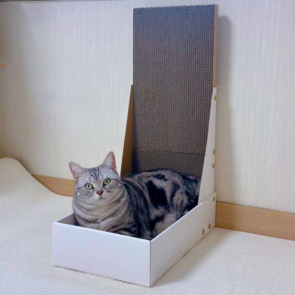MAAH 고양이 수직 박스 스크래쳐, 화이트, 1개 15,900원