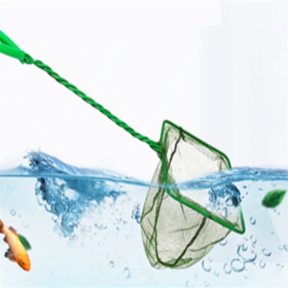 매일발견 뜰채 물고기잡기 수중식물정리 물고기이동 미니뜰채 수조청소 1,500원