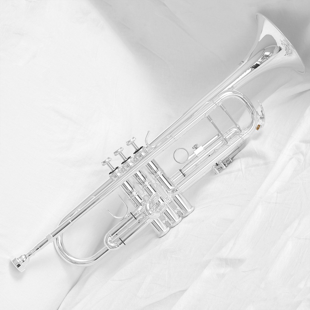 저먼파고트 TP-501 PLUS 트럼펫 498,000원