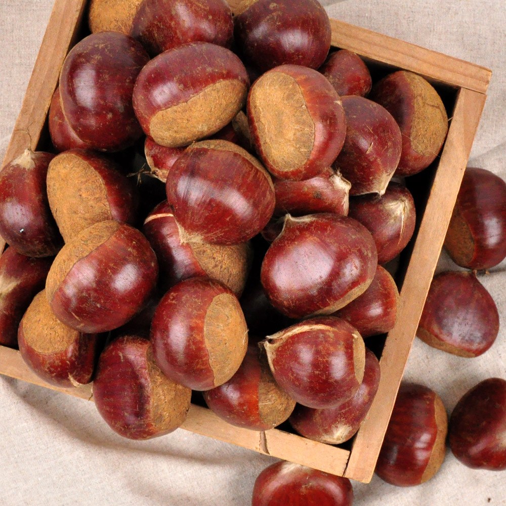 부여 달하산농장 굿뜨래 알밤 2kg 17,900원