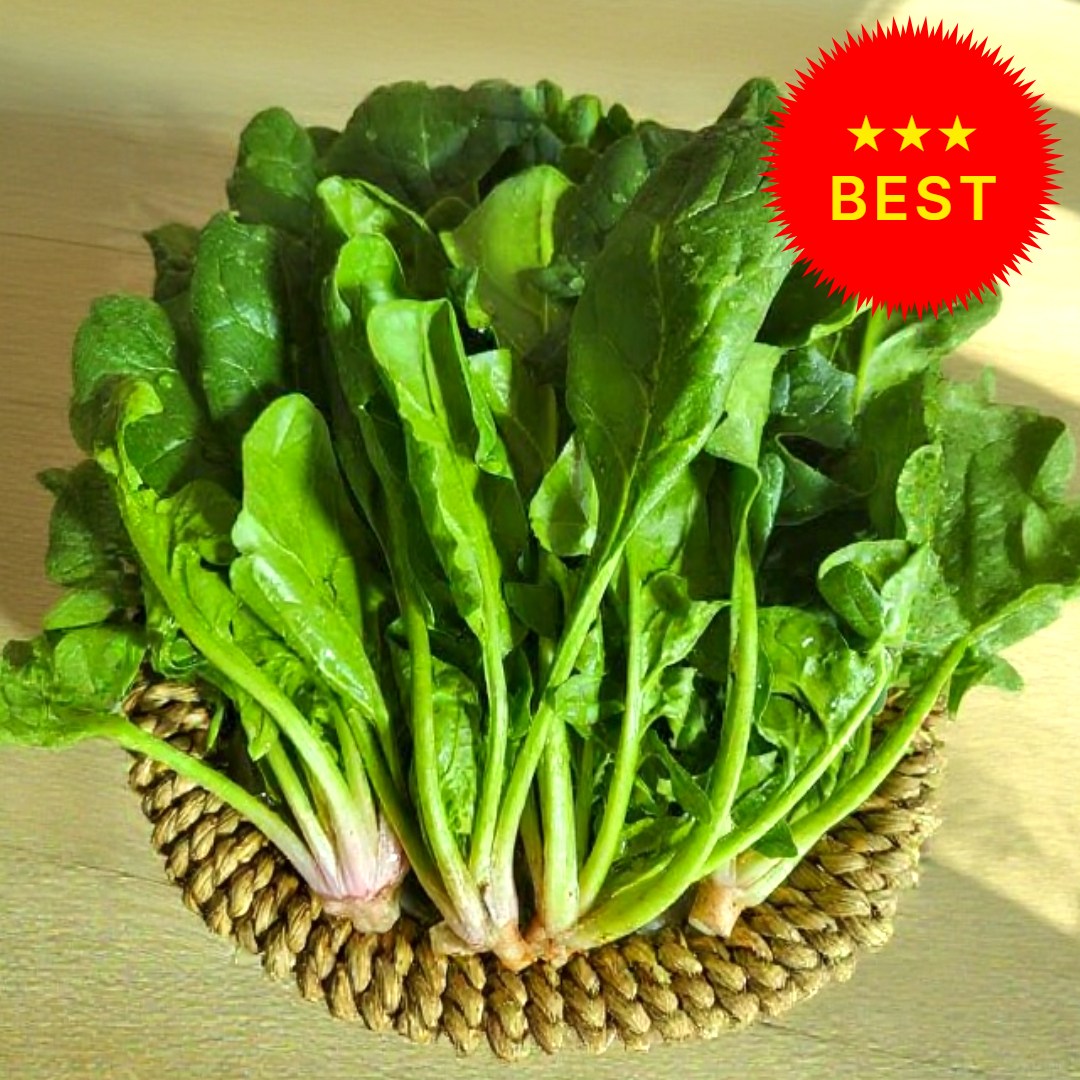 [시금치축제특가] 남해 산지직송 보물초 시금치 18,800원