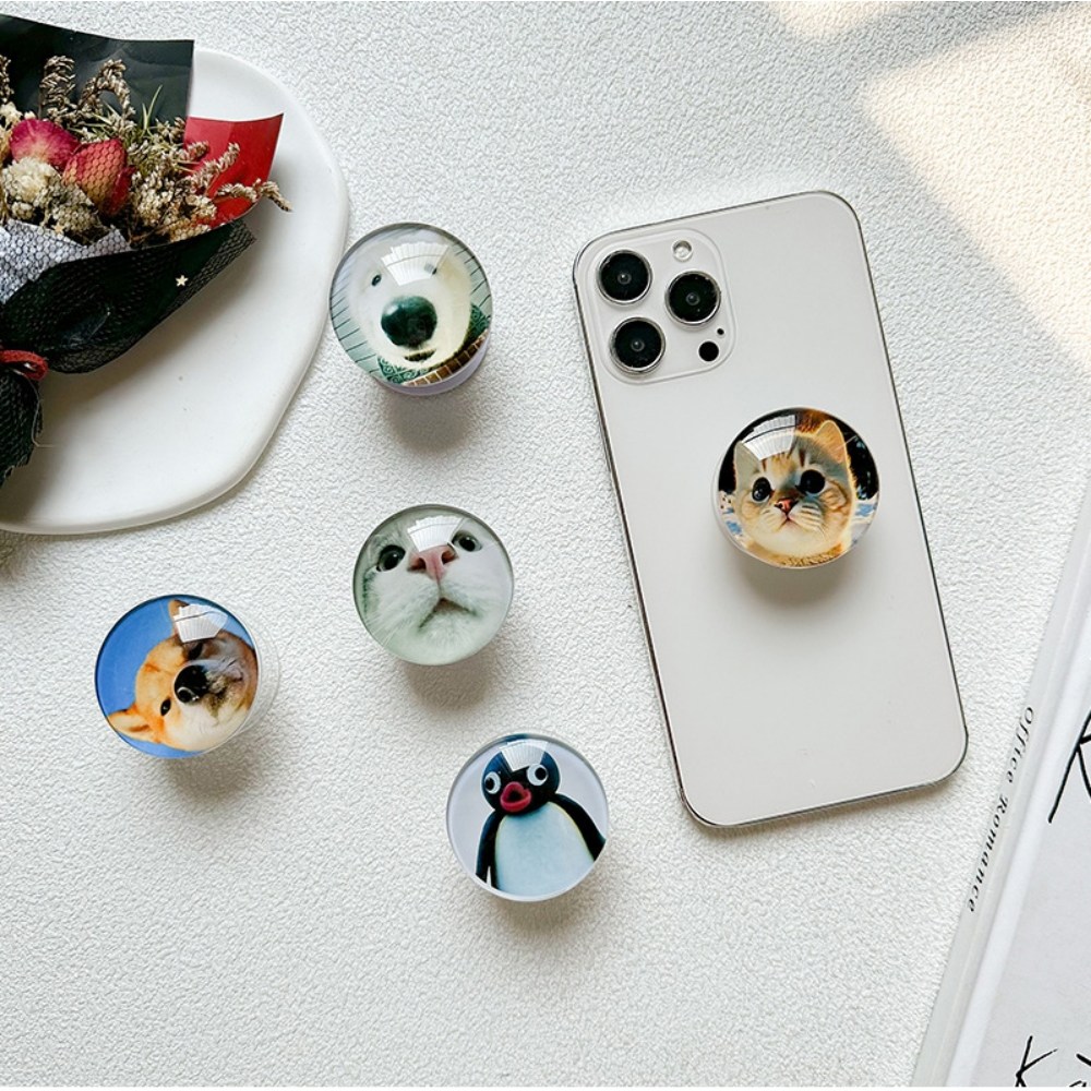 1+1 귀여운 볼록 동물 그립톡 핑거톡 고양이 강아지 스마트톡 (당일발송) 8,500원