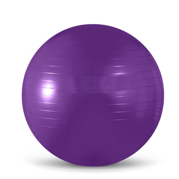 스타스포츠 짐볼 EB200 + 펌프 9,800원