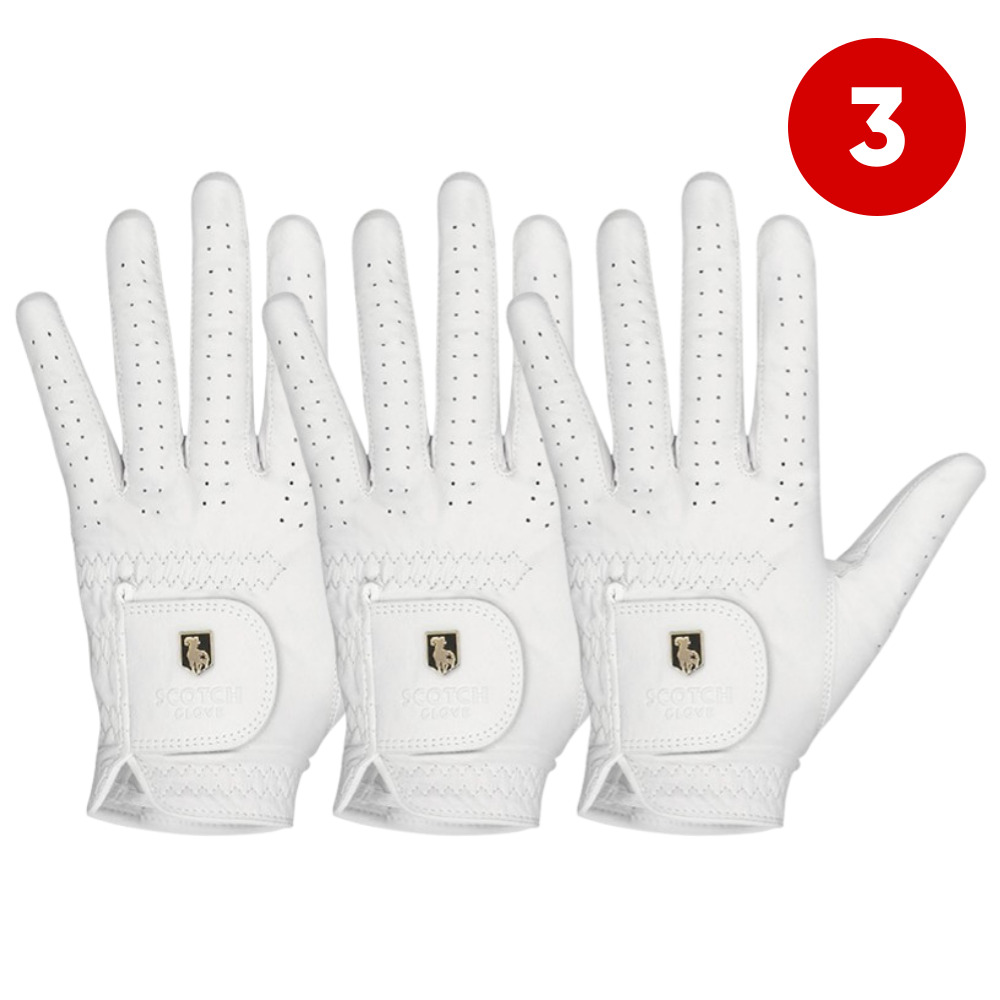 3장 프리미엄 최고급 천연양피 스카치글러브 남성 왼손 골프장갑 48,800원