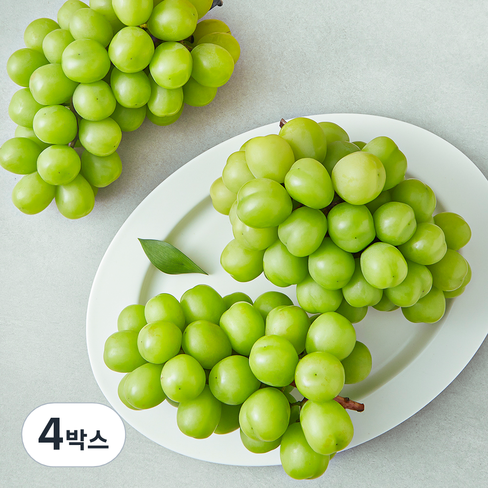 [로켓프레시] 산들이랑 비파괴당도선별 샤인머스캣 (2-4수) 54,950원