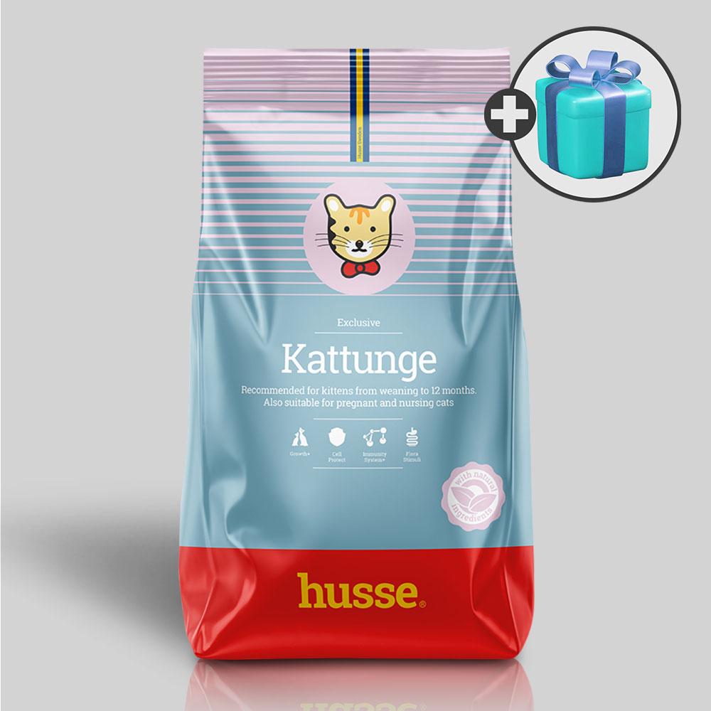 후새 캣 키튼 + 우리집상전 사은품 103,950원