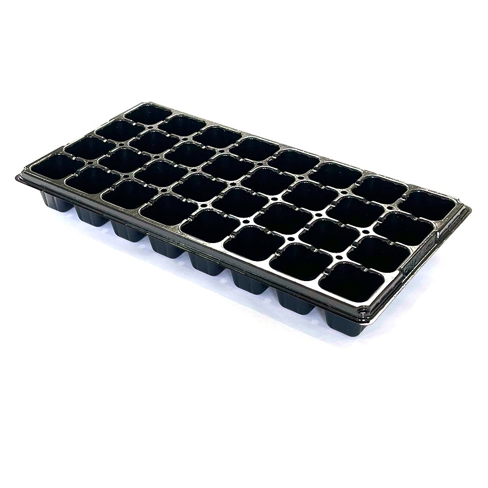 연결트레이시리즈 32구 플라스틱화분 화분받침대 분갈이 이색포트 모종화분, 1개 1,500원