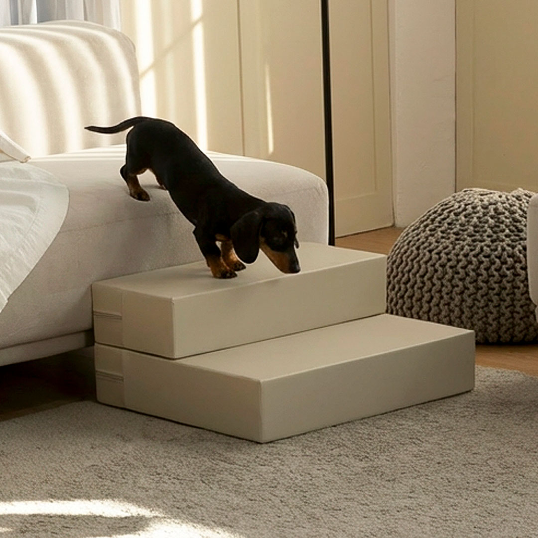 도그라피 멀티폴딩 2단 펫스텝 48,800원