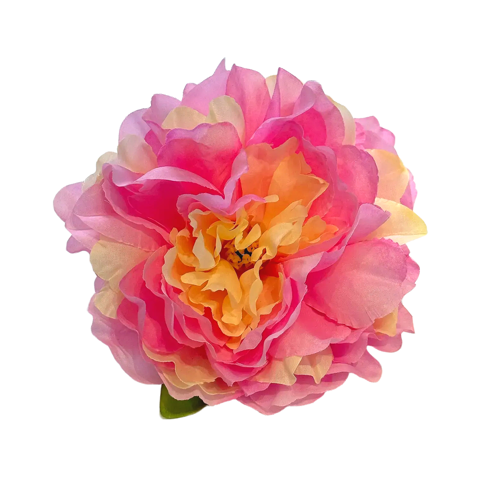 베타꽃침대 1+1 베타 어항꾸미기 은신처 8,500원