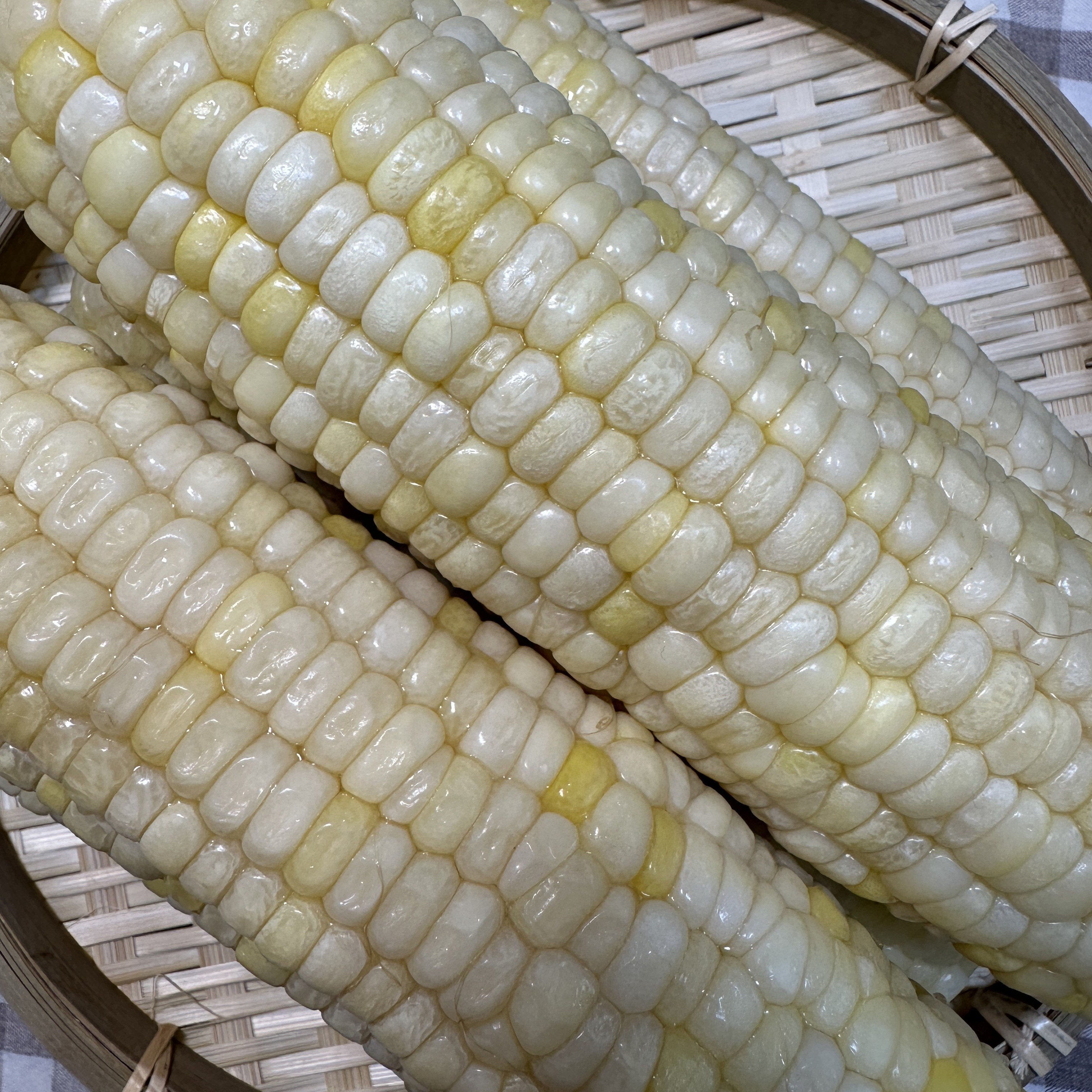 달콤쫀득 강원도 냉동 삶은 옥수수 찰옥수수, 30개, 미백 특 (15~20cm) 45,500원