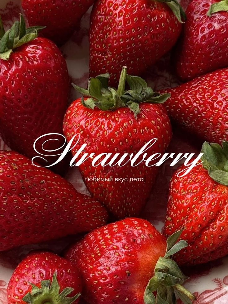 설향 딸기 뽀송뽀송 신선한 제철 과일 딸기선물세트 당도높은딸기 싱싱한딸기 딸기 제철과일 25,200원