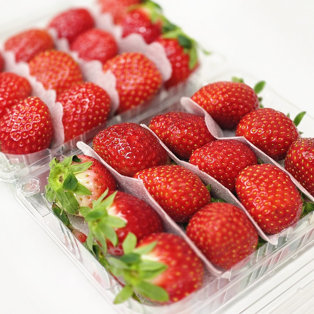 설향 홍희 고당도 제철 딸기, 1개, 1kg (특) 20,800원