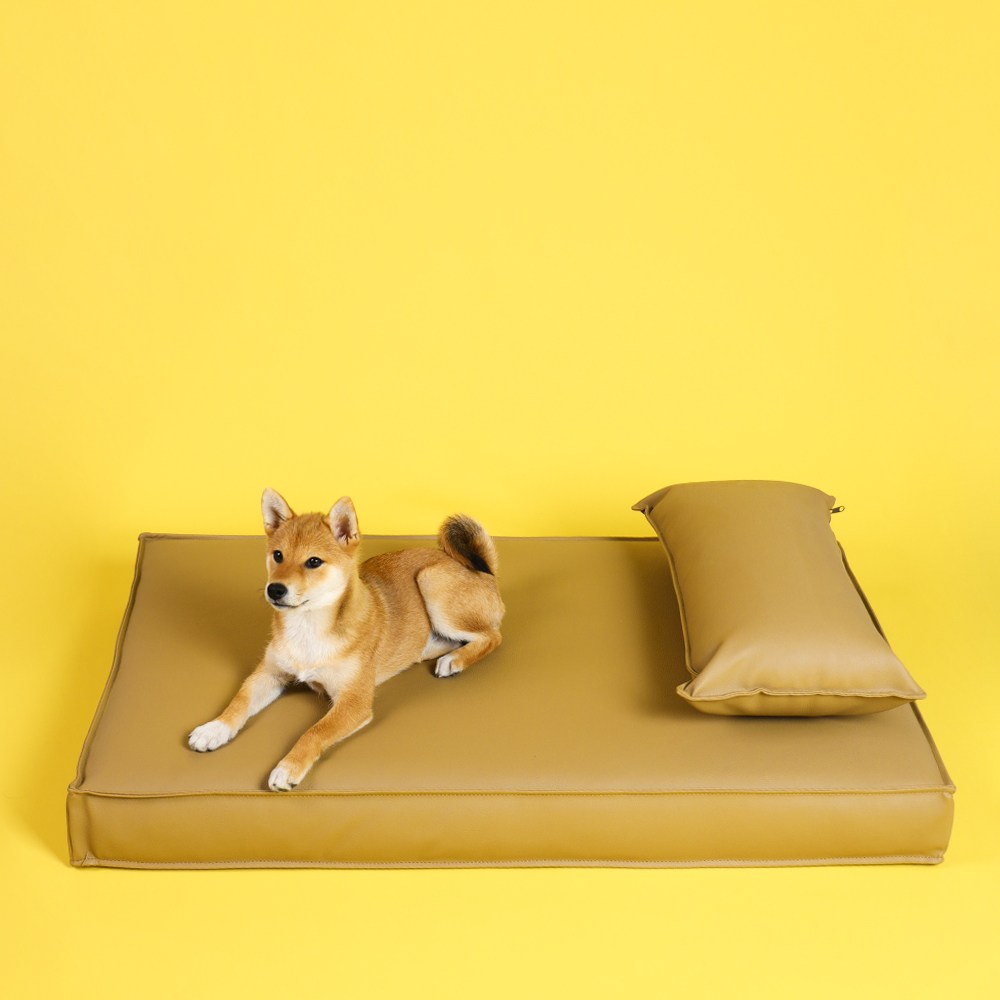 [조브라운] 강아지방석 베딩 쿠션 애견 마약방석 107,500원