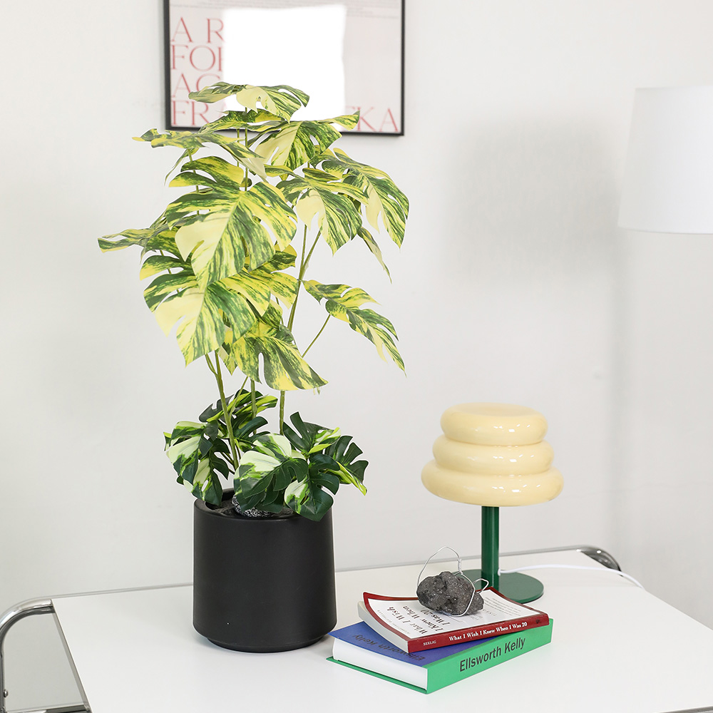 조아트 인테리어 조화나무 몬스테라 마블 + 모형돌 2p + 화분 세트, 혼합색상(조화), 랜덤발송(화분, 모형돌), 1세트 35,900원