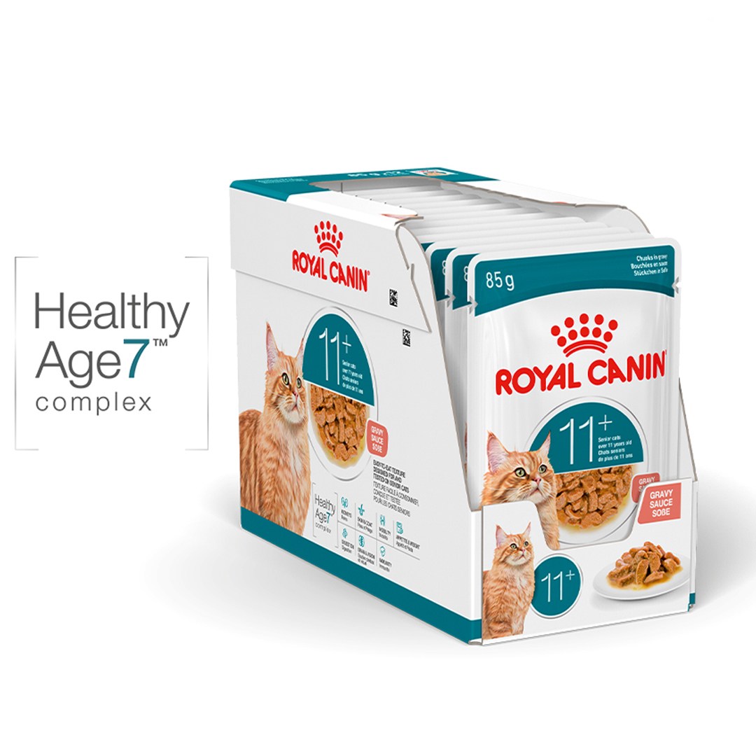 로얄캐닌 고양이 사료 에이징11+ 그레이비 85G 습식 소화기건강에 도움, 12개, 85g, 닭 21,210원