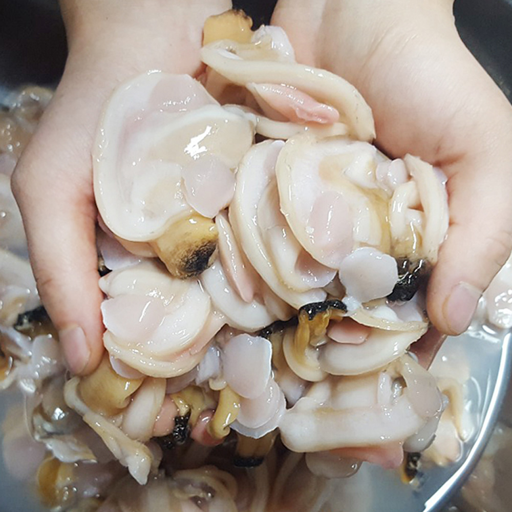 [오늘의바다] 자연산 대합 개조개살 300g내외 (손질전 1kg) 27,900원