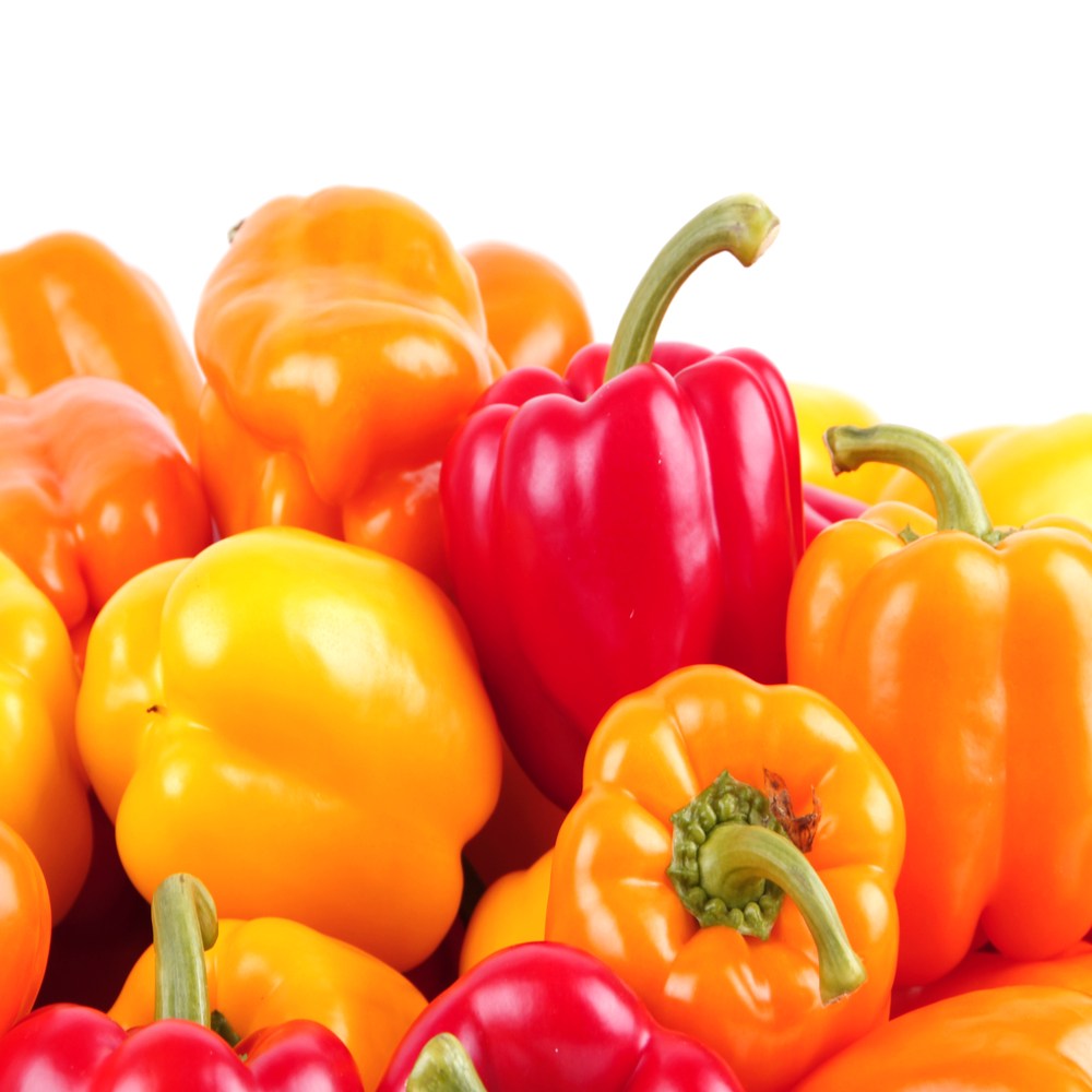 노씨고집 국내산 정품 혼합 파프리카, 1개, 1kg (정품) 13,300원