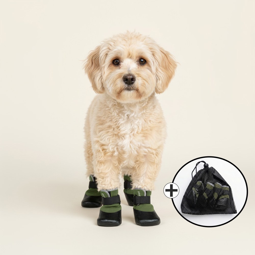 푸키 강아지 논슬립 삭스핏 슈즈 4P 21,920원