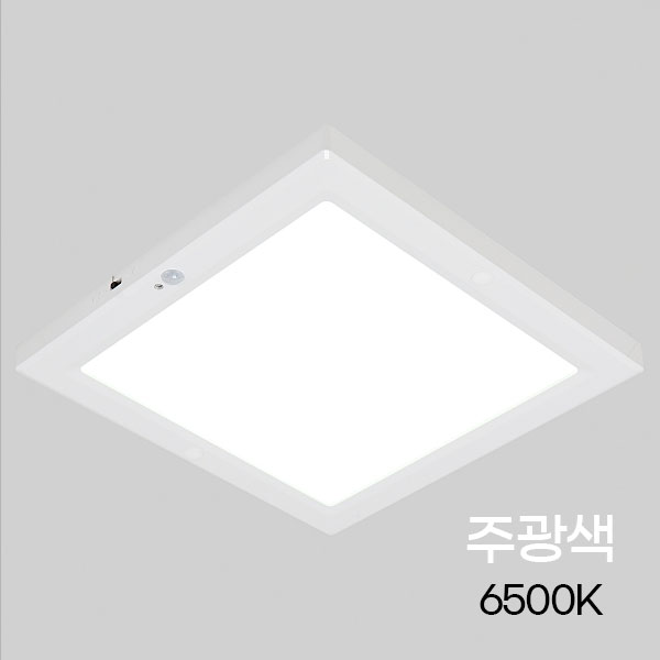 비츠온 사각 LED 센서등 엣지 10인치 20W 주광현관 베란다 복도 조명, 1개 12,590원