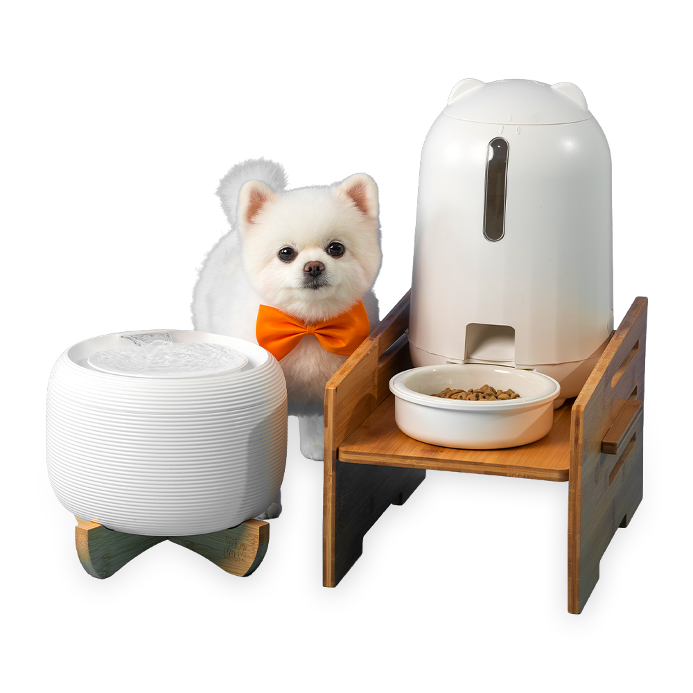 페키움 풀패키지 고양이 강아지 정수기 자동 급식기 음수대, 1세트 129,910원