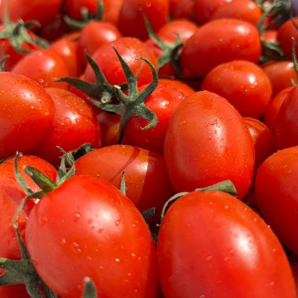 팜이슈 맛있는 대추 방울토마토 52,900원