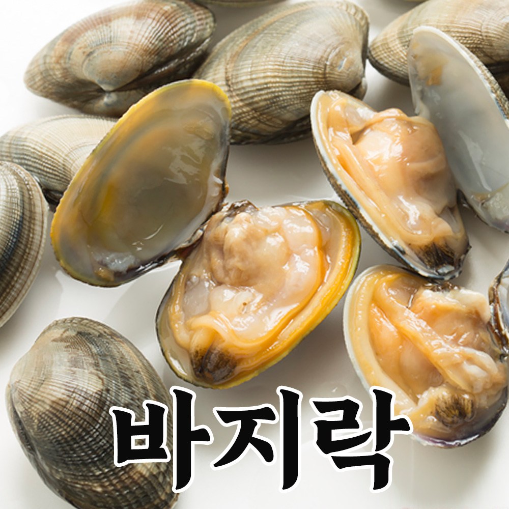 [장씨네] 서해 고창 동죽조개, 백생합, 바지락, 모시조개 15,800원