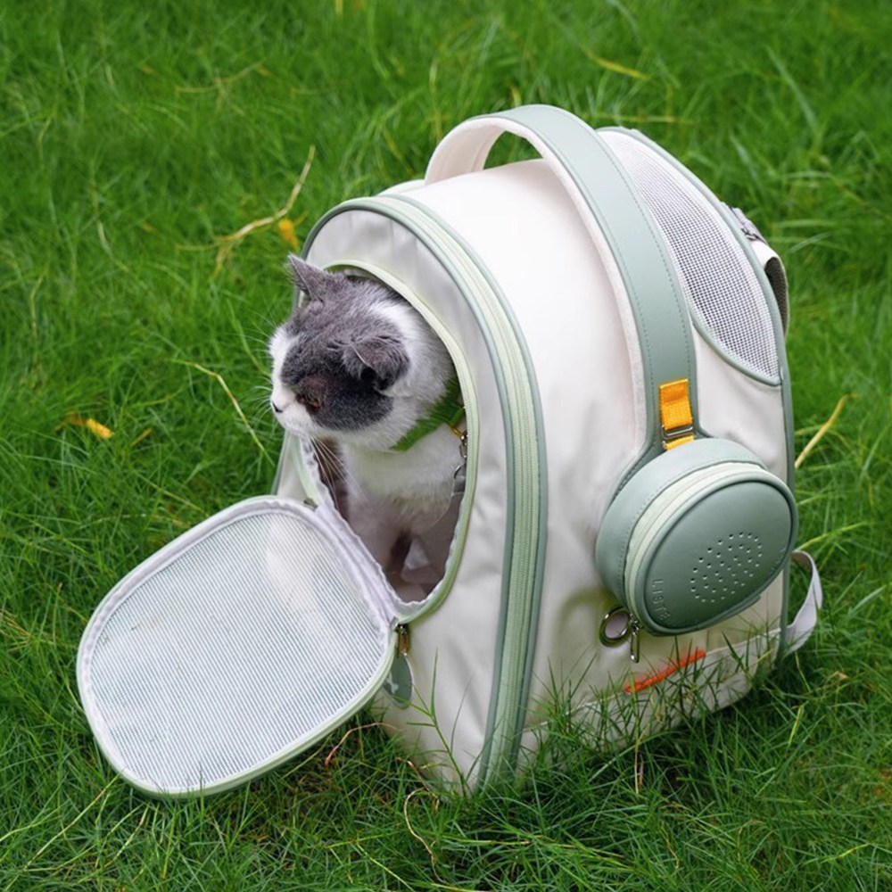 펫데일리 반려동물 이어폰 가방 네츄럴그린 브라운 고양이 강아지 산책 외출 백팩, 네츄럴그린, 1개 83,300원