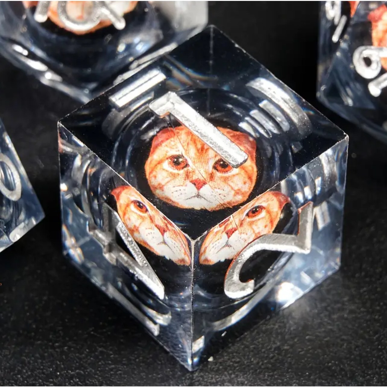 고퀄리티 귀여운 치즈 고양이 투명 캣 그림 주사위 주사위 던전 드래곤 RPG MTG 롤플레잉 보드 게임용 다면체 주사위 세트 보드게임용 7개 주사위 32,500원