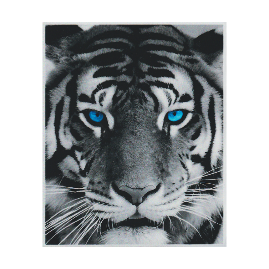 삼항LED 카라 이글 스티커 외 5종 /차량 데칼 스티커/화물차 트럭 오토바이 스티커, 1개, 파란눈호랑이 소형 4,300원