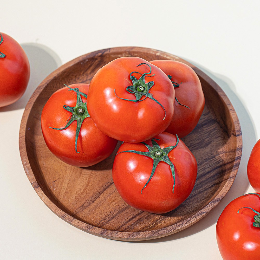 완숙토마토 찰토마토 제철 탱글탱글 토마토 [DO] 19,900원