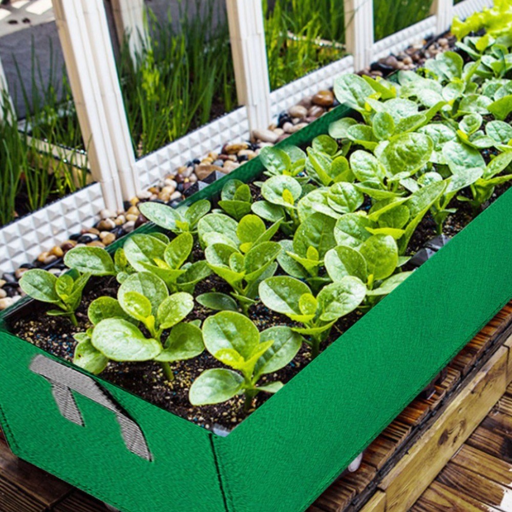 부직포 (직사각형) 화분 실내 베란다 텃밭 가꾸기 정원 홈가드닝 도시농업 4,000원