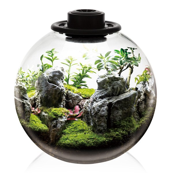 그린월드 와디언 케이스 원형 (YQ220)테라리움 사육장 비바리움 식물 케이지, 1개 78,720원
