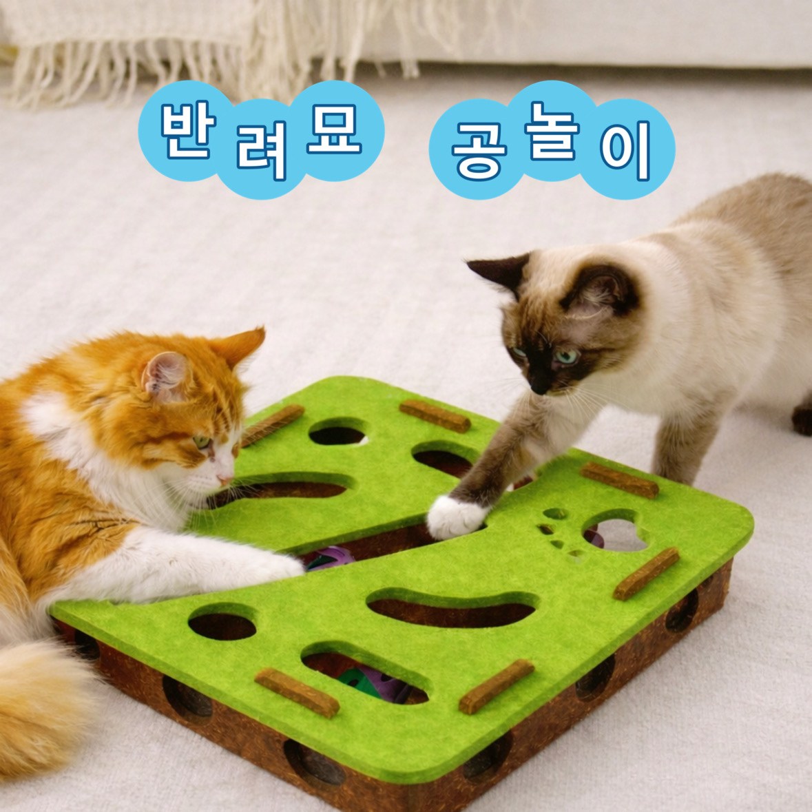 솔로몬스 고양이트랙 공놀이 장난감 공3개 6,900원