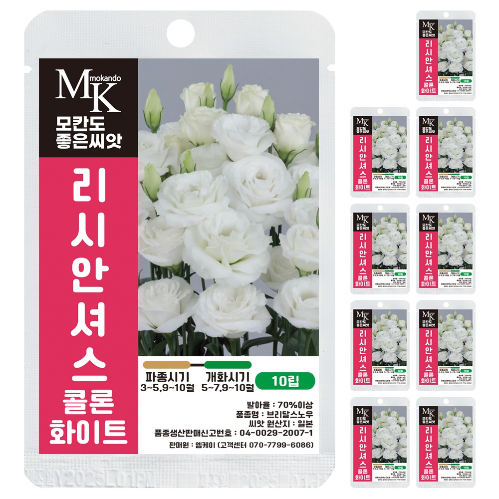 모칸도 좋은씨앗 리시안셔스 씨앗 콜론 화이트 10립 꽃씨 꽃씨앗 35,000원