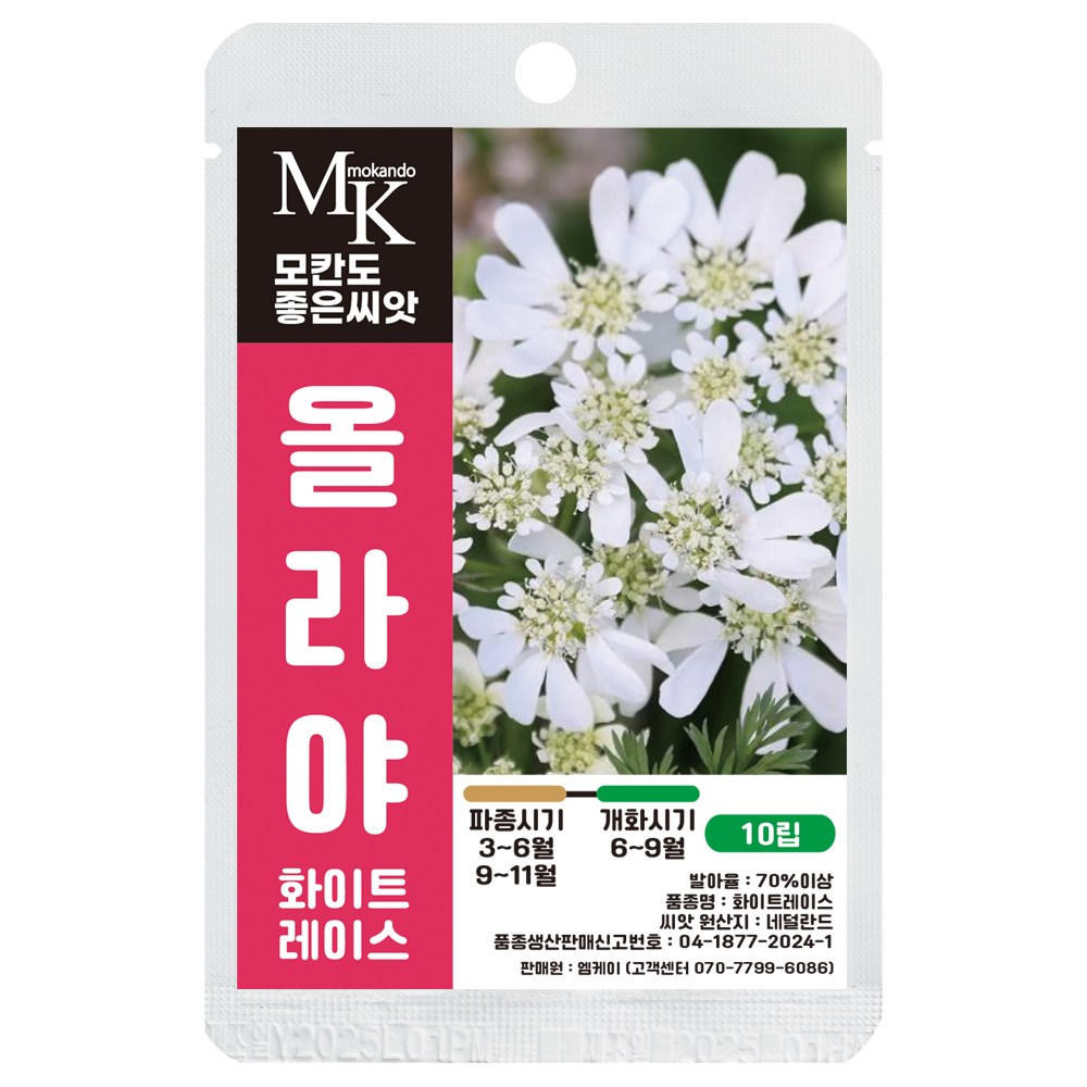 모칸도 좋은씨앗 올라야 씨앗 화이트레이스 10립 꽃씨 꽃씨앗, 1개 4,900원