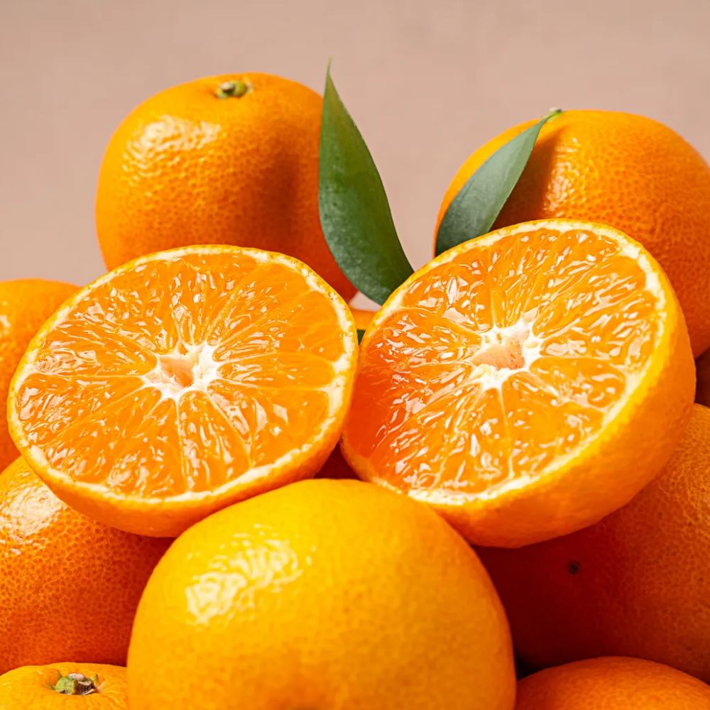 당일수확 제주 서귀포 고당도 제주 감귤, 1박스, 3kg(S/M)로얄과 37,900원