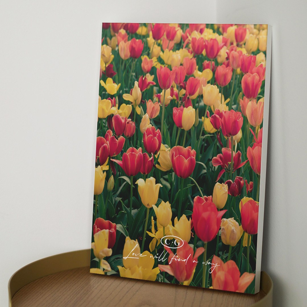 유럽감성한스푼 힐링 튤립 감성사진 캔버스액자 Part.3 7종, 25.옐로우레드 튤립 11,900원