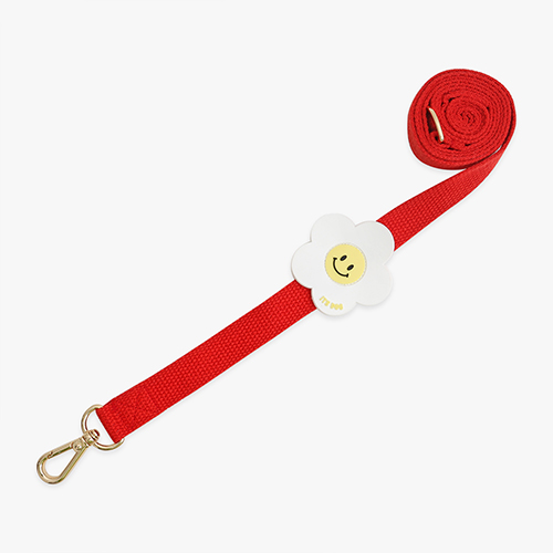 이츠독 강아지 아이스 팝핑 리드줄 18,000원