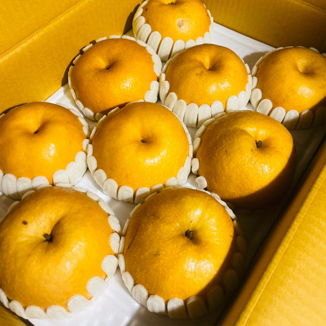 달콤한 가정용 신고 배 흠집 과일 요리용배 못난이배 공품배 39,900원