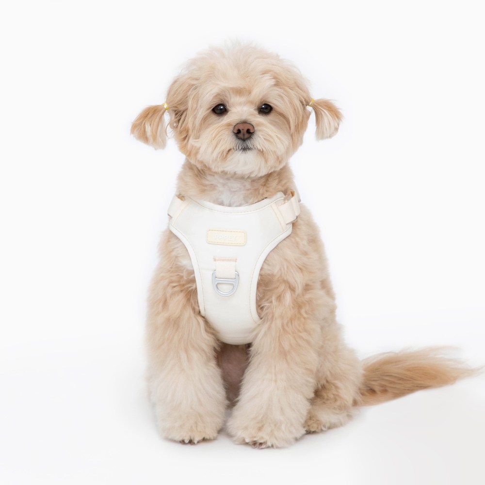 펫펫펫 강아지 하네스 28,490원