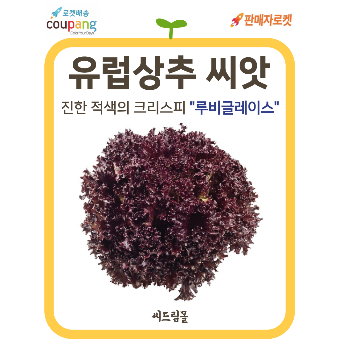 씨드림몰 유럽상추 씨앗 샐러드 쌈채소 루비글레이스 100립, 1개 7,500원
