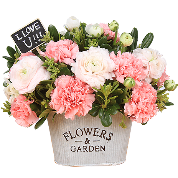 에코플라워 꽃배달 (플라워가든) 전국당일배송 사진전송 생일 생신 선물 꽃다발 꽃바구니 승진 기념일 이벤트 당일배송 a-0146, 1개 59,400원