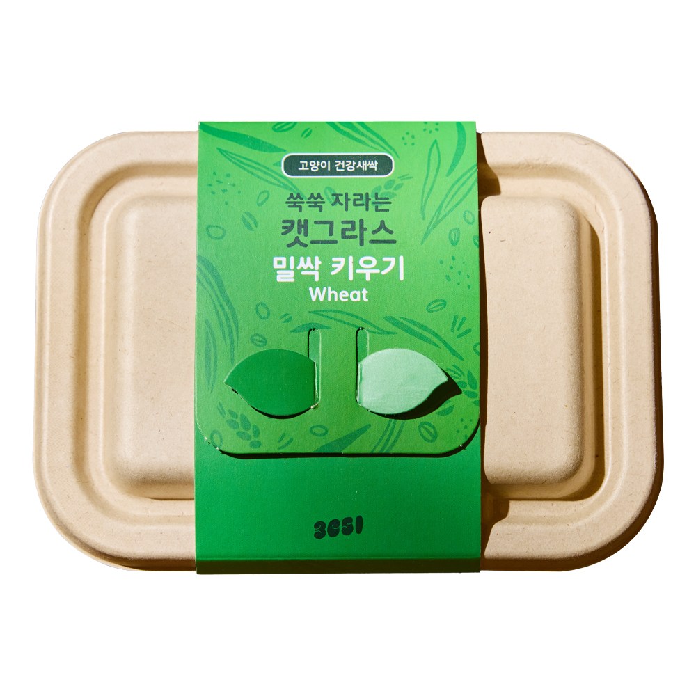 3651 쑥쑥 자라는 캣그라스 키우기 재배세트, 1개, 160g, 밀싹 6,900원