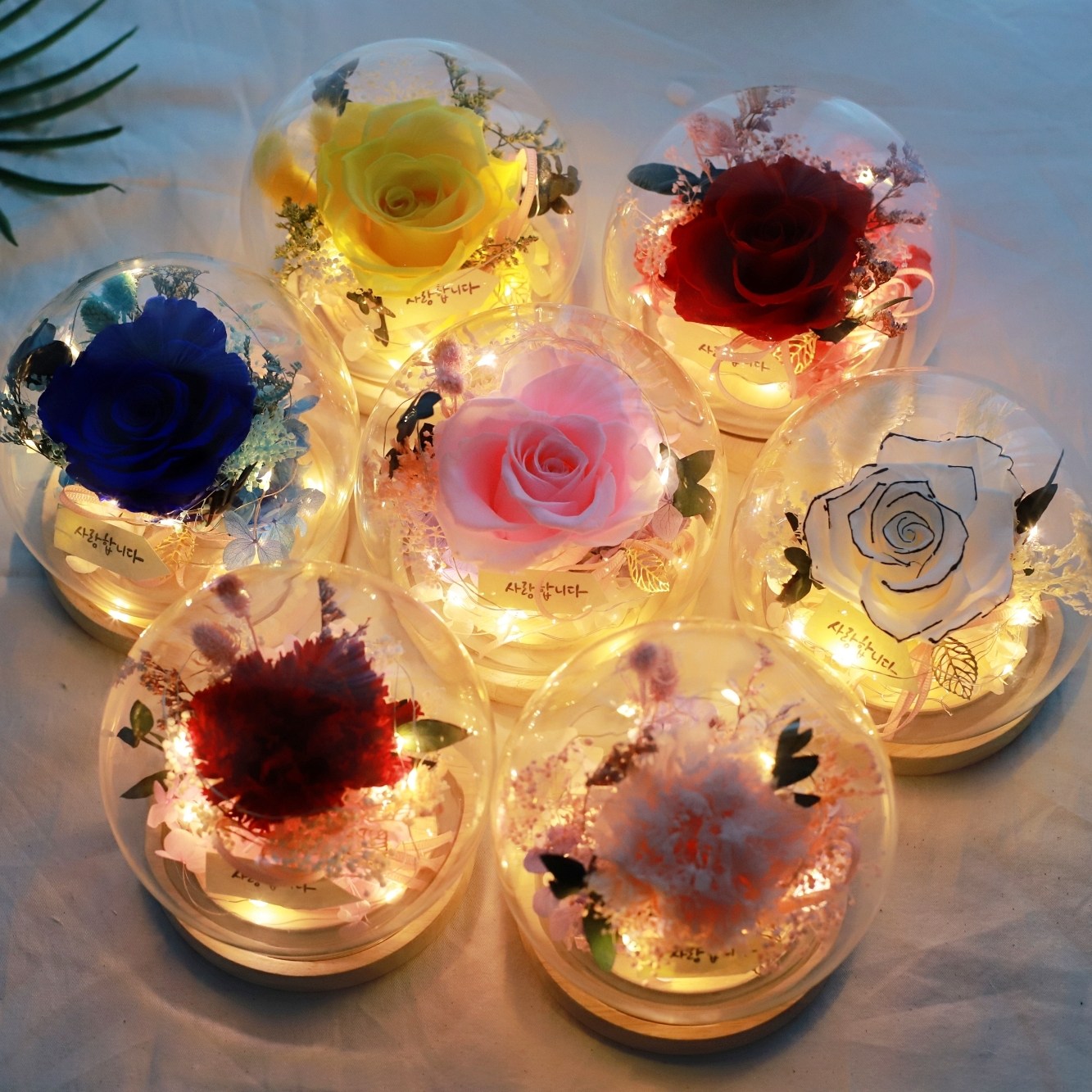 드라이플라워 프리저브드플라워 시들지않는꽃 LED 꽃 무드등 카네이션 장미 29,900원