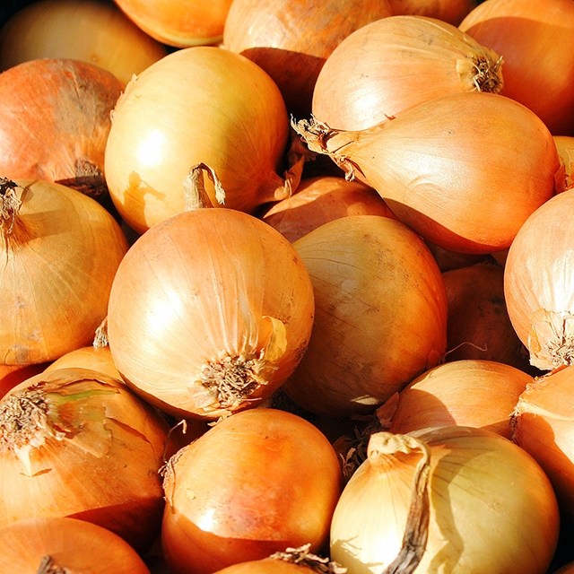 여수 햇 양파 국내산 산지직송, 1개, 5kg 대 20,500원